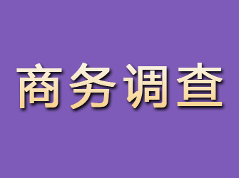 民勤商务调查